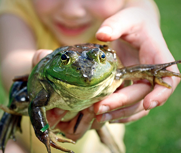 Batteries Not Required - Outdoors and The Imagination