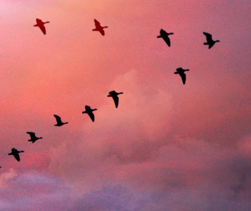 Leadership That Shapes Your Child