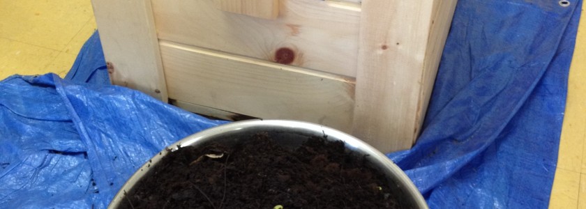 All Creatures Great and Small