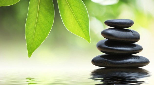 The Ultimate Wellness Package