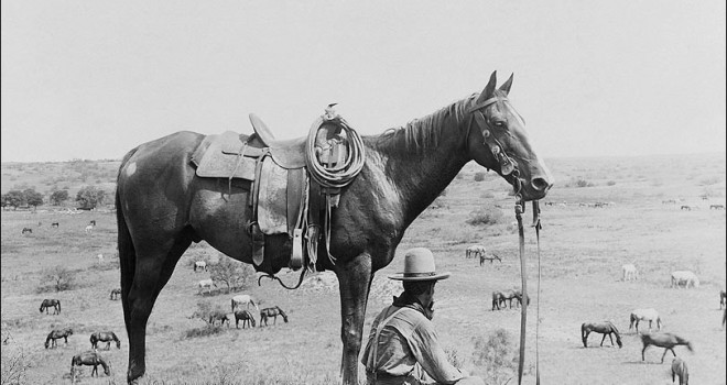 Attention Wild West Bibliophiles!